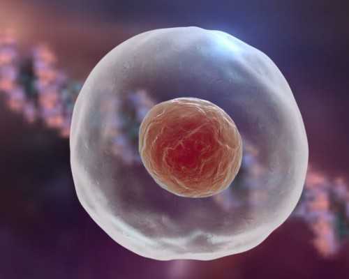 香港十周验血唐氏筛查_生男生女核算器怎样核算？