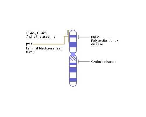 邮寄香港验血男孩生了女孩_没满50天去香港验血测出来的是什么_亲身经历分享