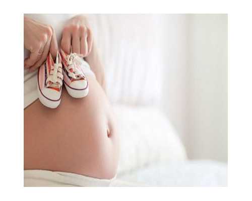 计量泵生产厂家_Seller of gul