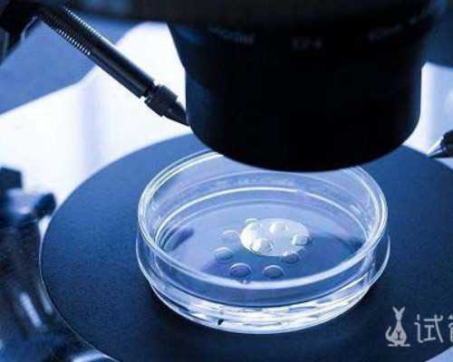 泵车怎么操作遥控器_【端午节】肉粽