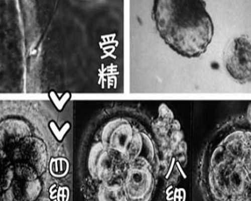 精神氮泵在线播放_雨润天山分外苍翠——第十批援疆庆祝建党百年主题书法展