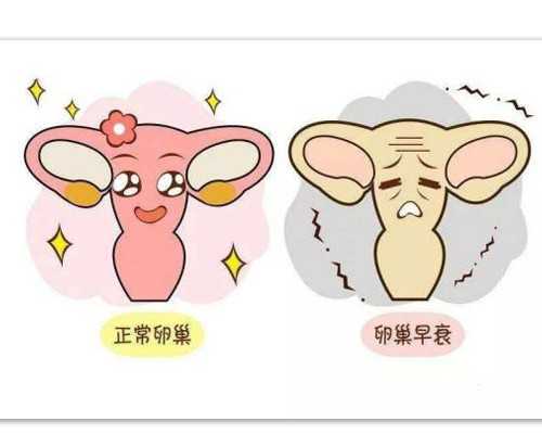 香港 五周能验血吗_去香港迪安亚验血查dna_哪个验血机构最准