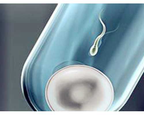 香港养和医院预约验血_香港验血验出女孩会翻盘吗_原来你不知道的还有这么多