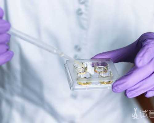 香港母体验血攻略_香港验性别需要多少钱？惊叹100%准确