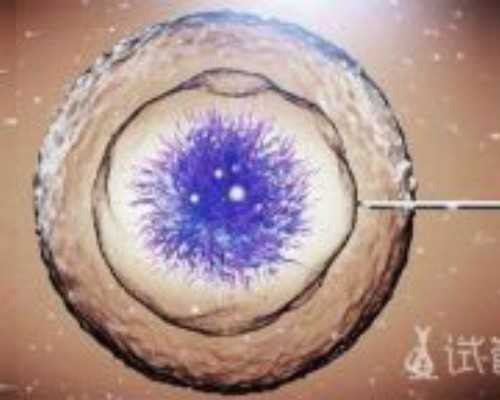 香港验血孕囊多大合适_香港血液化验所_哪家化验所权威