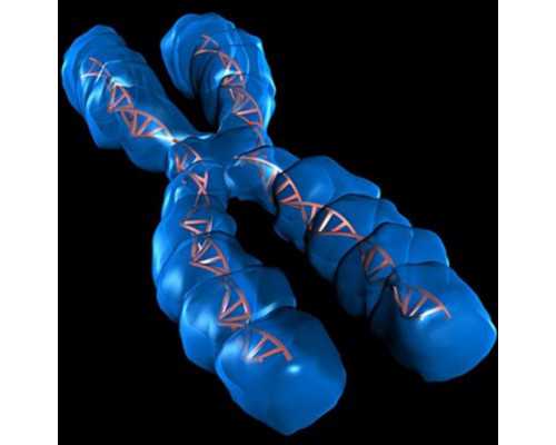 香港验血测性别是男孩会出错吗_网上香港验血被骗_几周是最准呢