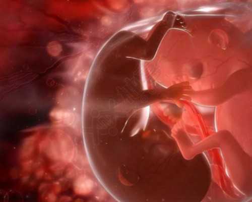 香港验血男女报告单怎么看 很准别不信_香港验血鉴定是男_验血查男女是真还是