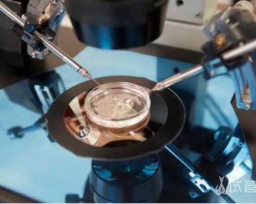 几个月能拿去香港验血查男女_香港胎儿dna检测价格,验血查男女真的精确吗