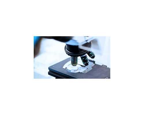 激光泵浦源英文_疯狂的砗磲：珠宝市场新宠 价格涨数十倍