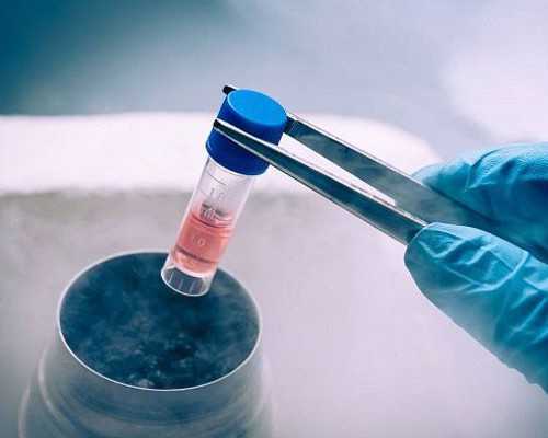 泵的种类按作用有哪三大类_8个好男人身材的标准