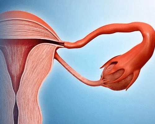 泵样本手册_狮子座最怕水瓶座狮子座男生最吃水瓶女