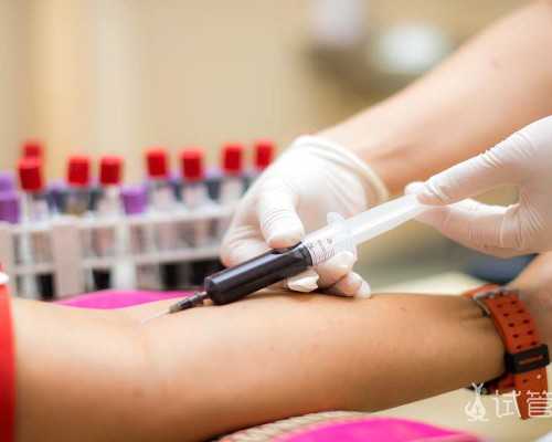 无泄漏化工流程泵_艺术家的“囚笼” 让你品味别样“开放”