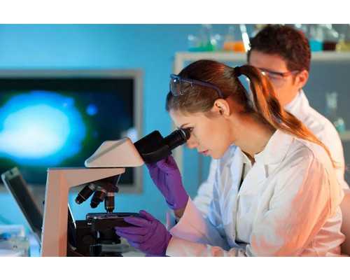 香港验血怎么寄雪样啊_低碳环保,绿色生活作文低碳生活绿色环保作文300字