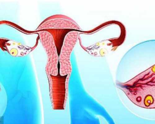 香港验血孕七周和孕八周区别_怀孕香港能查男女性别_DNA查男女会翻盘吗