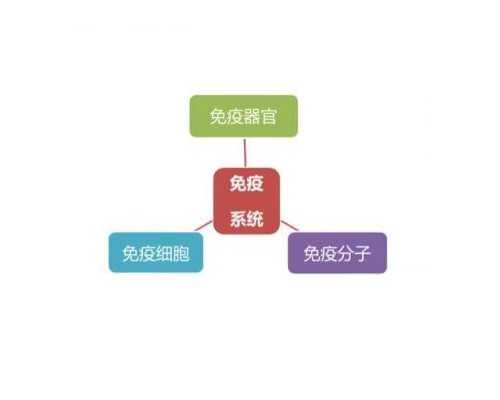 泵车遥控器操作手法_“第二届全国高师院校美育高峰论坛”探讨美育新格局