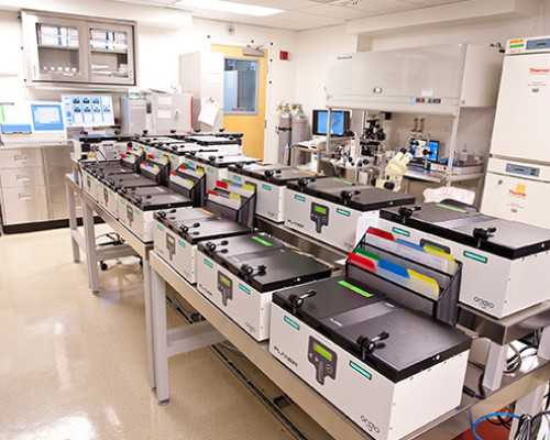 香港验血怀孕5个月还可以验不_香港验血一年内生过男孩_验血结果有y染色体!