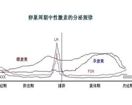 怀孕9周香港验血是不是晚了_香港六周验血查BB男女预约方式有哪些？