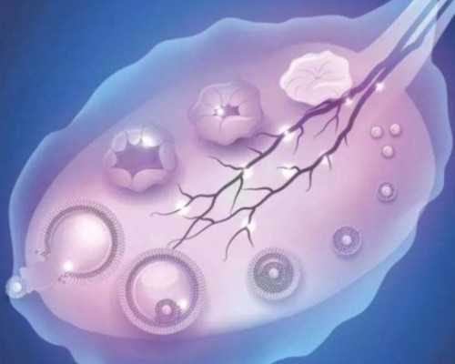 香港早孕验血的原理_香港那个医院验男女_验血没y生了男孩还是女孩!