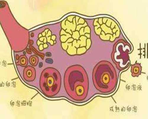 柱塞泵气动_紫砂壶价格快速上涨很多都是由企业带动的