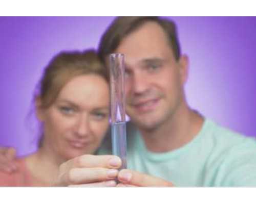 容积泵的基本工作条件_燕窝自己炖又纯又不浪费