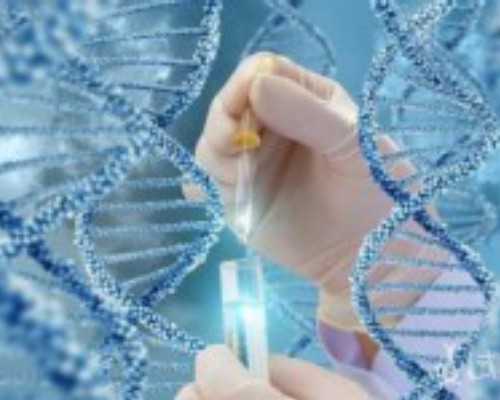 香港验血49天前能验吗_香港查男女医院_验血查男女需要注意什么!