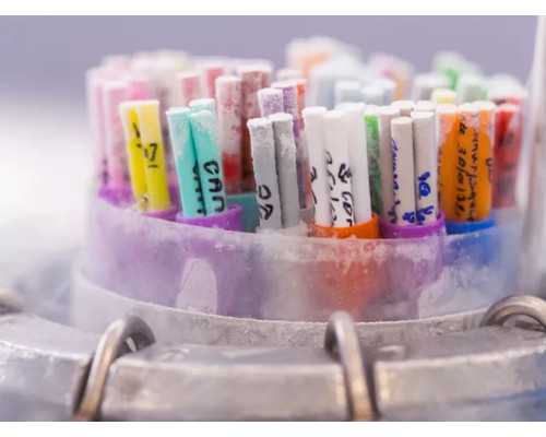 香港验血林顾问电话_我去香港抽血查宝宝性别的真实经验分享给你