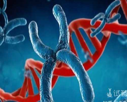 氢化可的松持续微量泵入_拍MV 博物馆跨界新模式