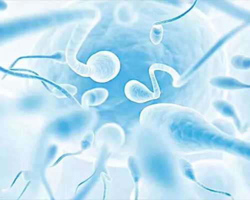 香港验血结果有没有搞错的_香港抽血鉴别男女的准确吗?自己的亲身经历分享给