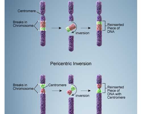 香港时代检测邮寄验血_时代基因检测男女准吗?告诉你香港验血是不是骗局