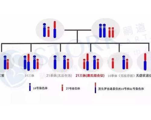香港验血放假时间_香港验血胎儿发育_有Y染色体生女孩怎么回事!