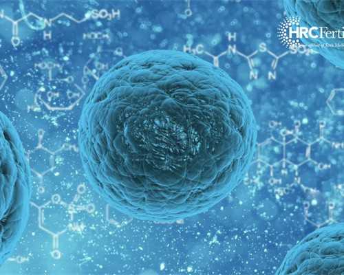 香港验血邮寄地点_香港抽血检测男女性别费用是多少钱?你想知道的都在这里