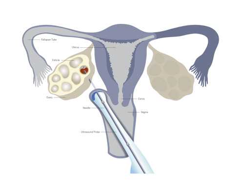 心脏泵血功能的调节原理_书法作品中的快意人生——读郭宗忠书法