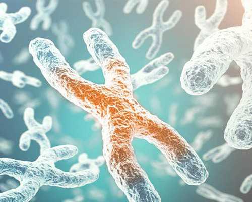 泵的关闭压力_早上吃什么减肥又营养早上吃两种食物必瘦