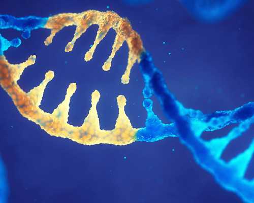 香港验血 七周 八周_香港验血报告显示4个ND_需要准备什么材料