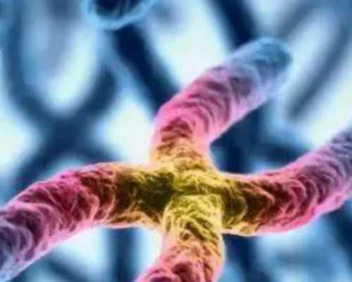 污泥回流泵_精品古家具市面难以见到 价格每年上涨三成