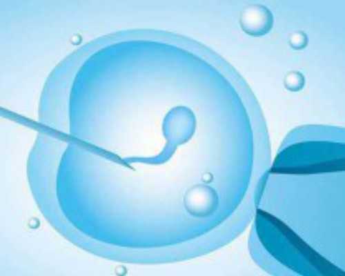 香港验血好紧张结果_科学精准!香港验血判别胎儿性别准吗?宝妈告知你