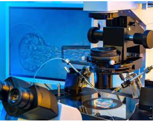 预约香港验血服务_正规的性别判定组织专业精准