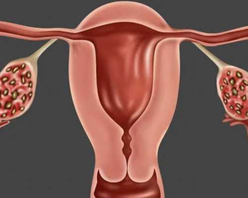 香港怀孕六周能验血吗_香港任何一家医院都可以查男女么_验血查性别最权威的