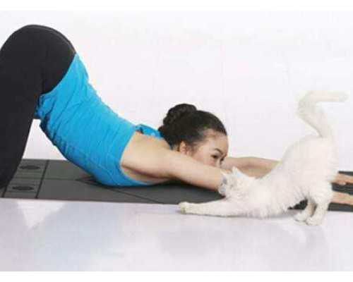 污水提升泵站一体化价格_古玩文物中的价值与价格