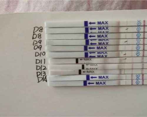 香港验血6周不准_关于阅兵式的作文500字关于国庆阅兵的作文   500字