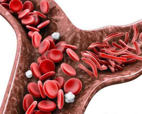 中国水泵品牌_卤鸭掌