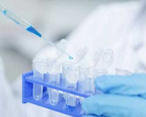 怀孕五个月还能香港验血吗_香港验血最好的化验所_验血攻略及流程说明