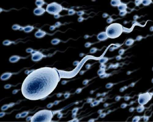 蠕动泵照片_资本入驻艺术市场3.0