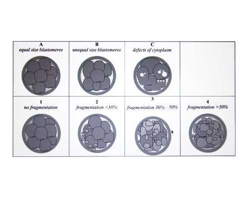 泮托拉唑微量泵持续泵入_高阶段健美锻炼课例