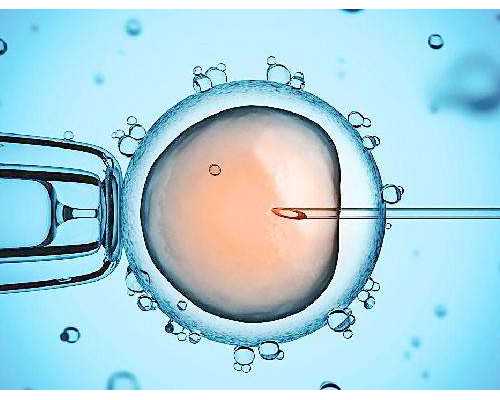 担心香港验血不准_上党课结束后的学习心得怎么写啊党课个人总结(对党的认识