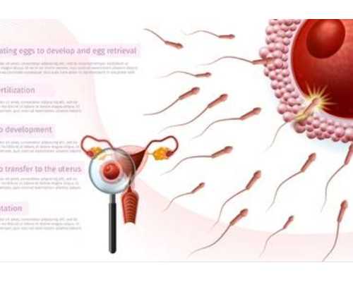 香港验血查性别 mkm机构_香港出生的孩子要验血吗_需要要怎么预约具备什么条件