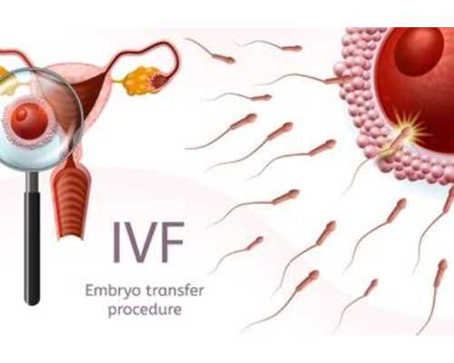 香港验血代理机构_一些关于母亲节的资料母亲节的资料(300)字