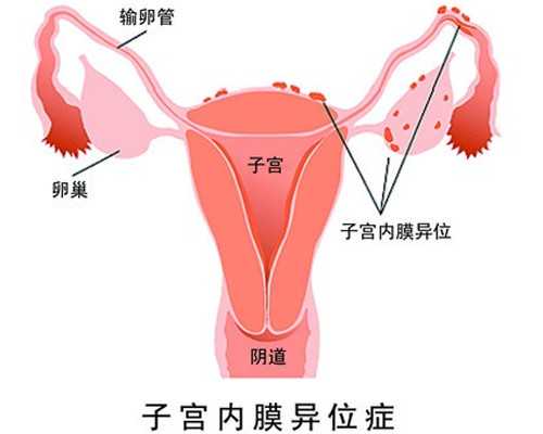 香港验血必须是孕妇的血吗_胎芽9mm香港验血准吗?我来告诉你香港验血的真相不