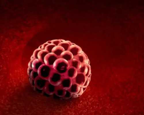 香港森宝验血客服电话_去香港验血多少费用_验血查性别需要哪些条件