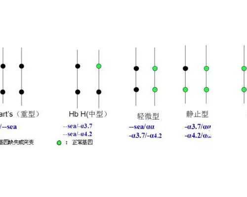 冷冻泵选型计算公式_艺术品投资采取什么策略才更明智